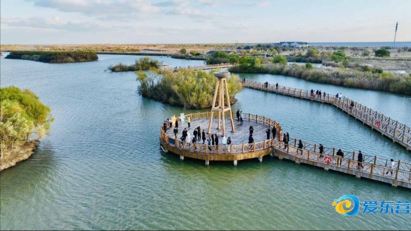 更彰显了在 更彰显了在