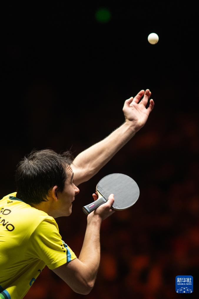 从被质疑不 从被质疑不