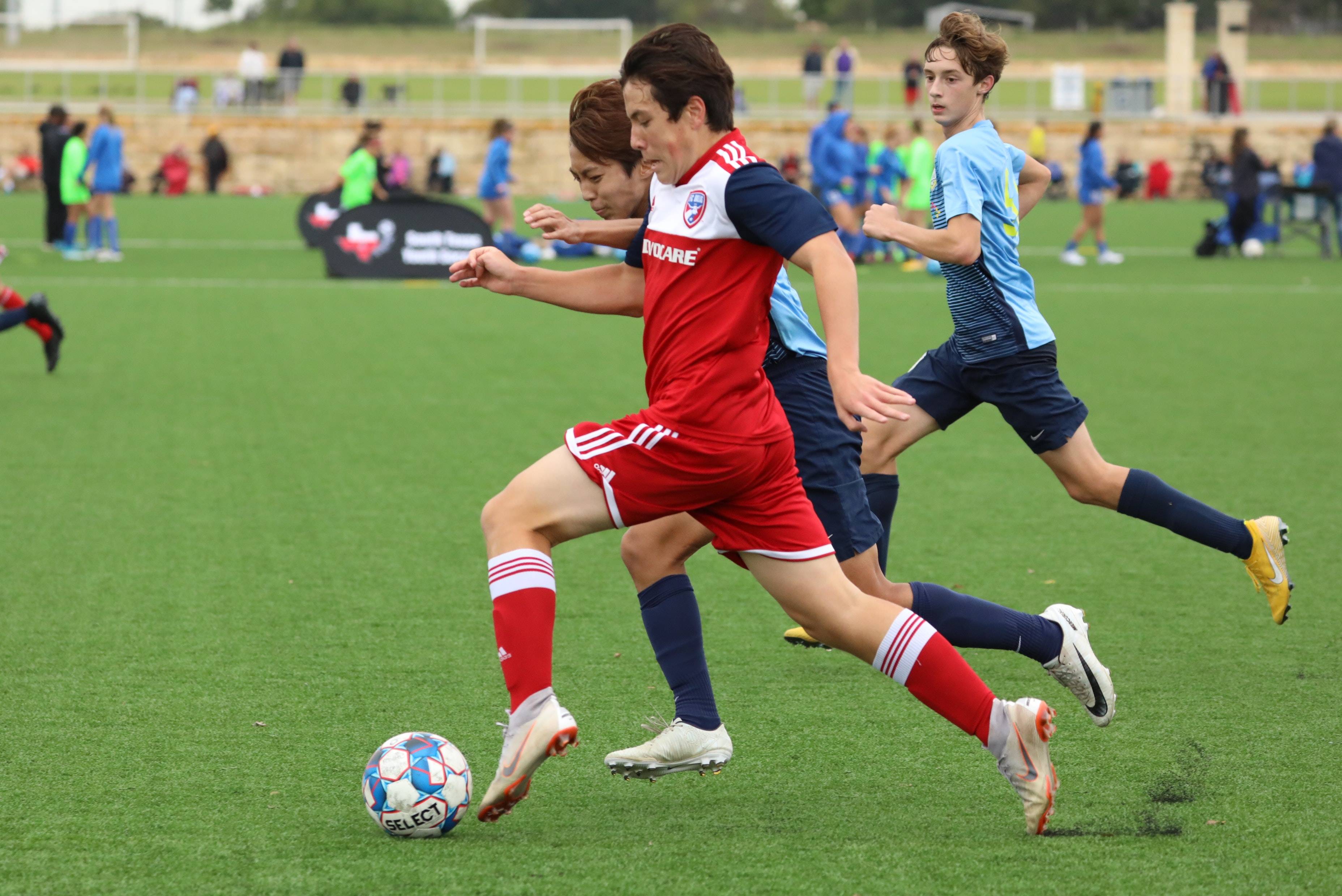 是职业运动 是职业运动