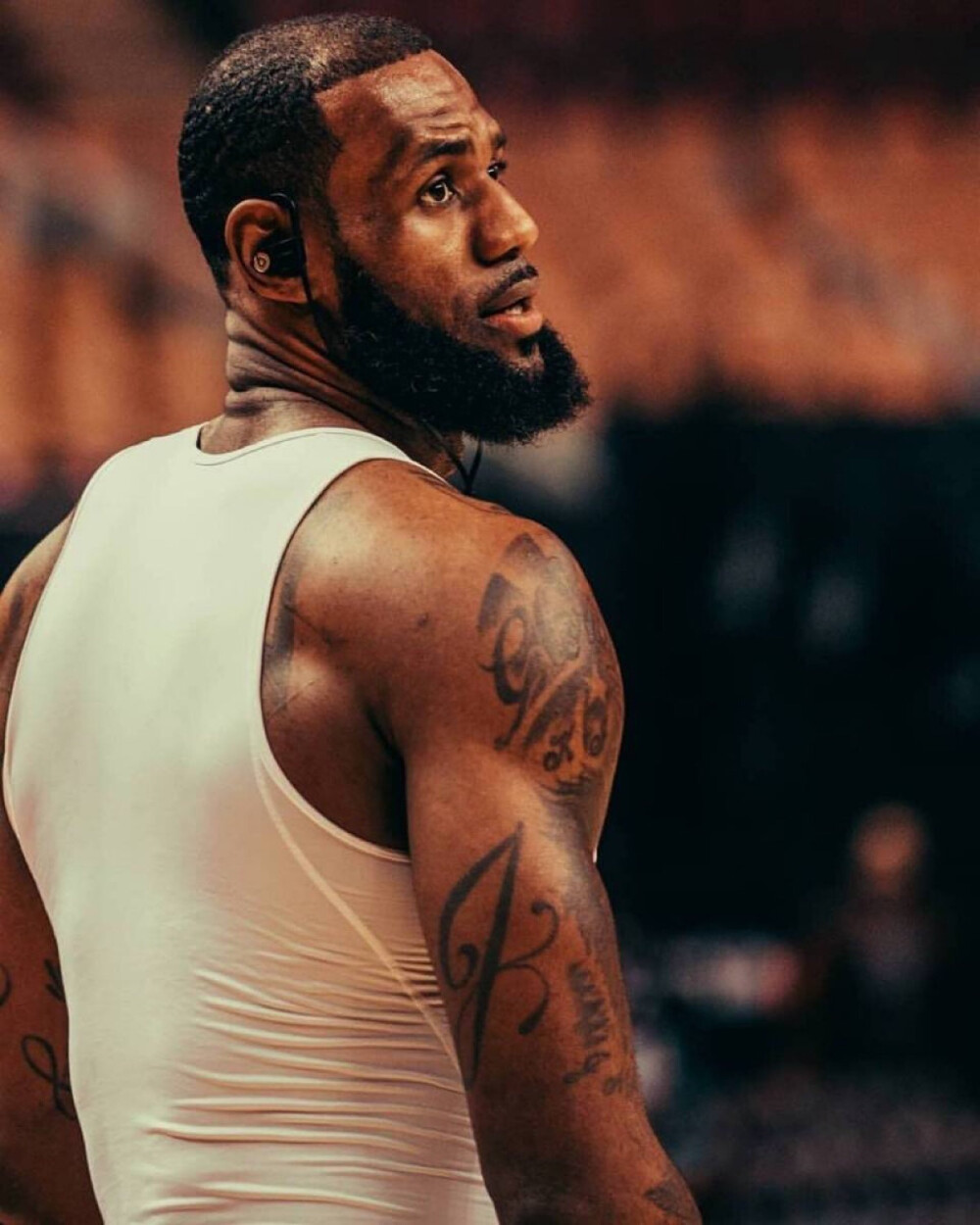 主导权彻底 主导权彻底